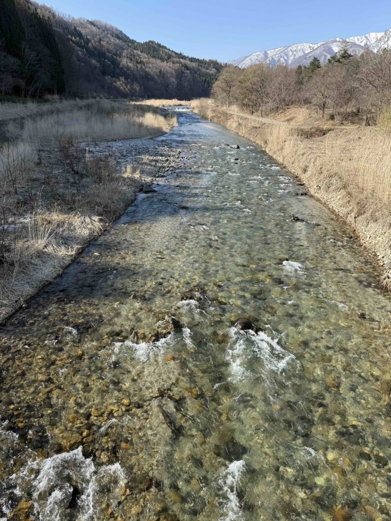 姫川の雪代はまだ。