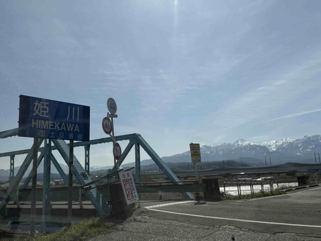 姫川でサクラマス